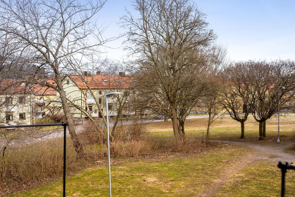 Omgivning med träd och grönska