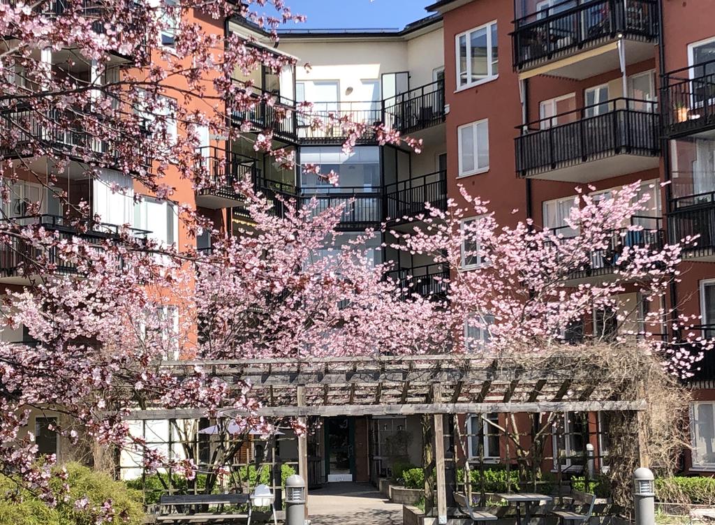 Privat bild över föreningens gård