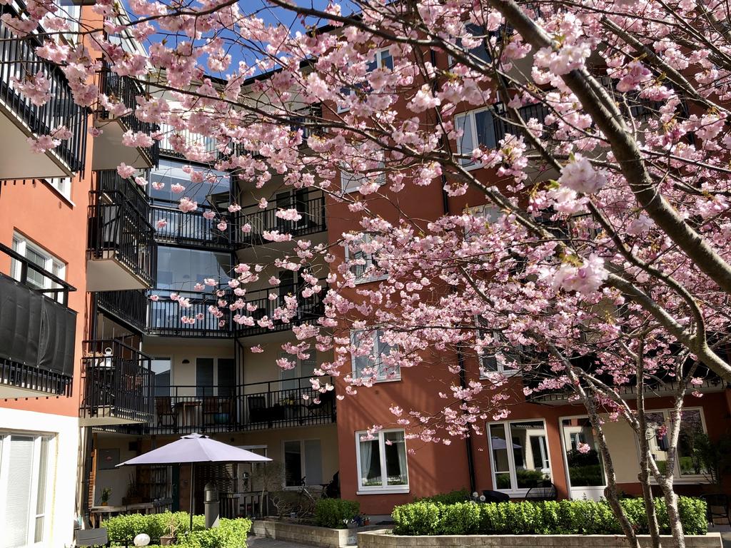 Privat bild över föreningens gård