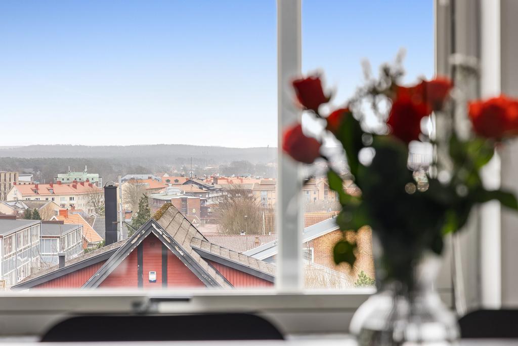 Vy från köksfönstret 