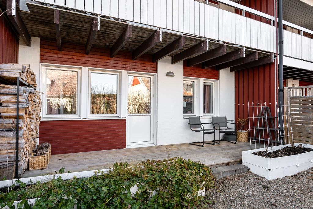 Baksidans uteplats och trädgård