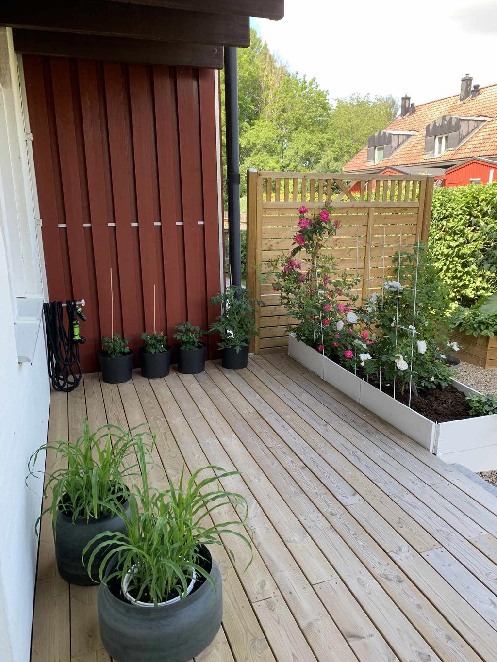 Säljarnas privata sommarbild