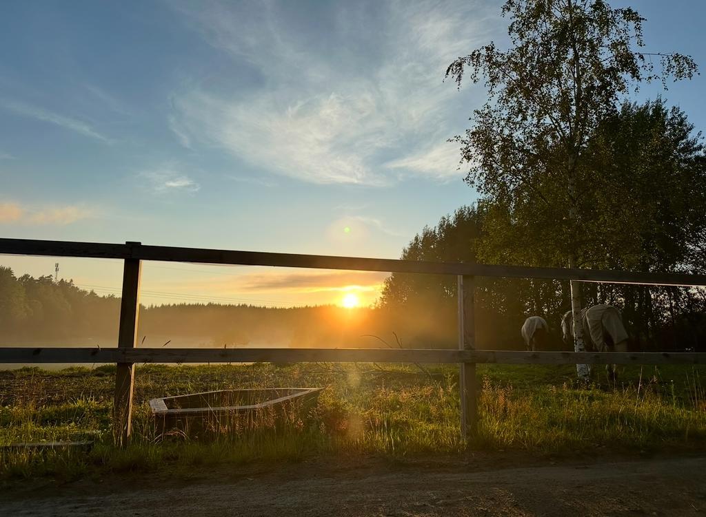 Säljarens egna bild