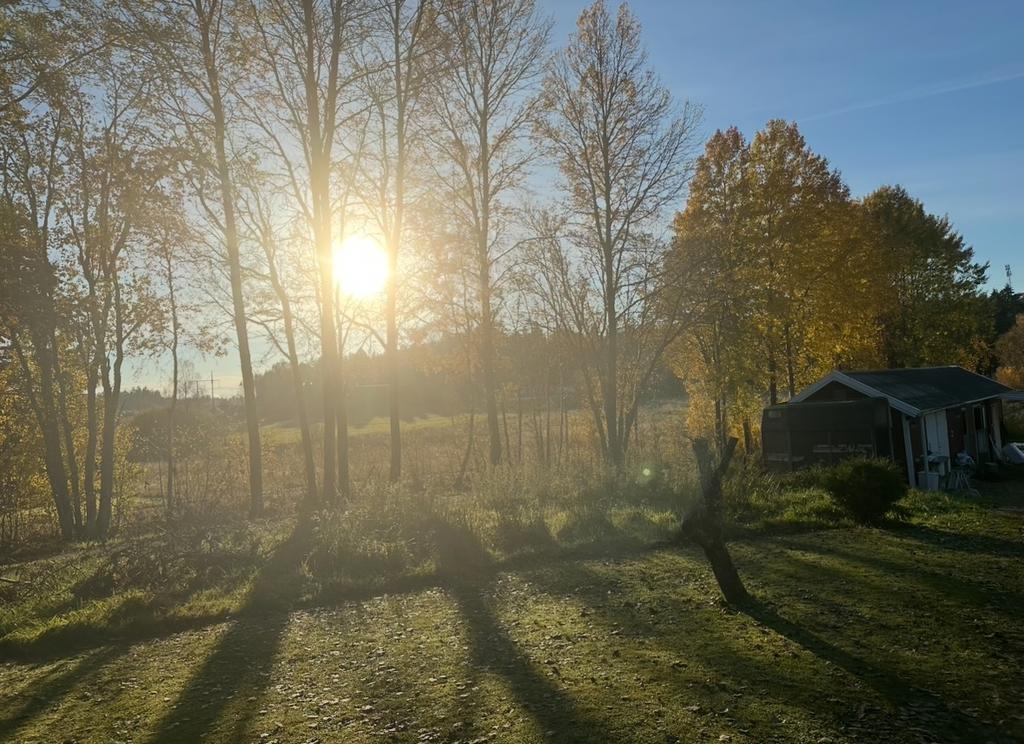 Säljarens egna bild
