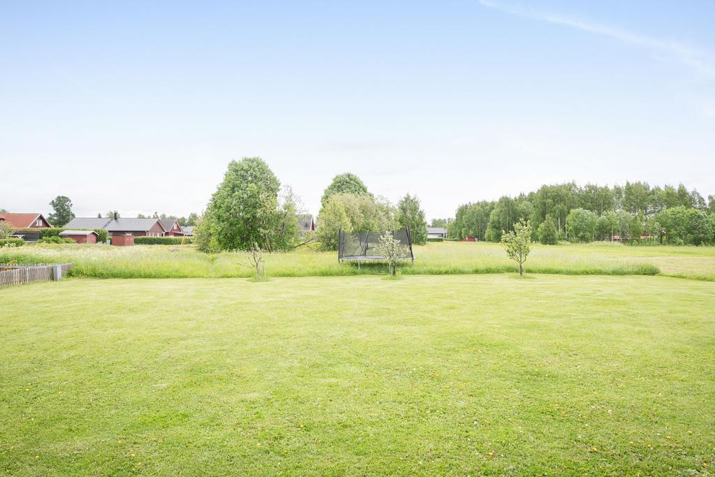 Stor friköpt trädgårdstomt