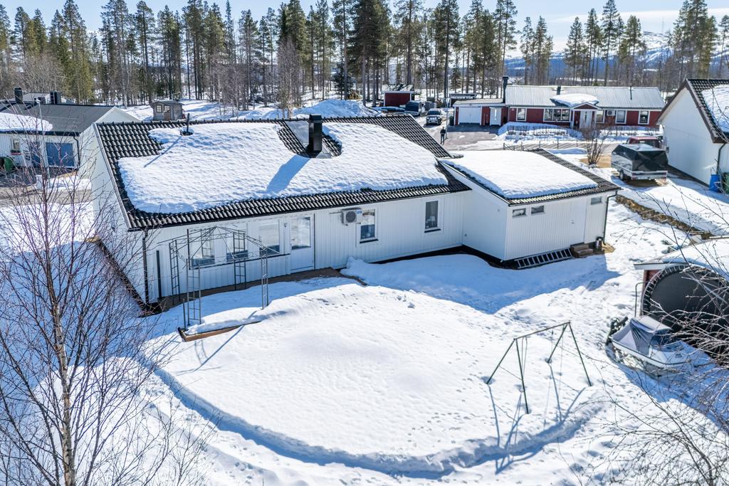 Solig trädgård