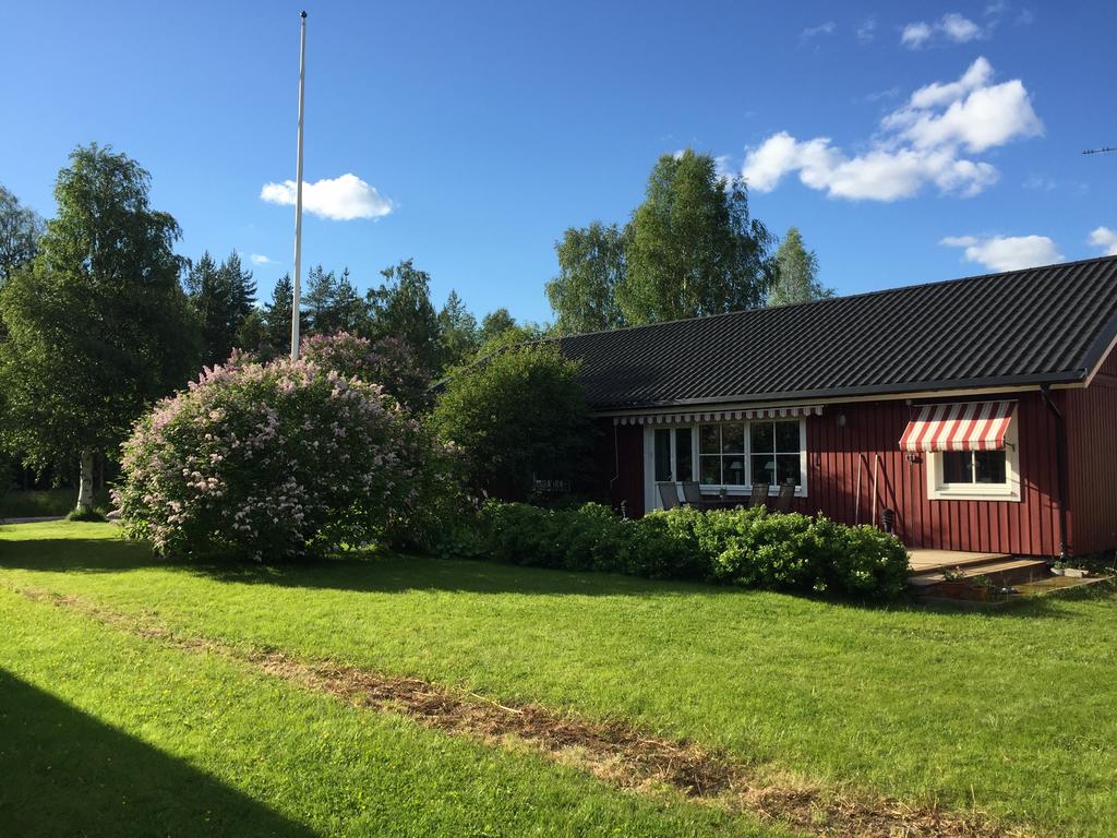 Säljarnas sommarbild