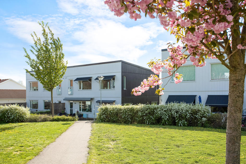 Föreningens gemensamma grönområde