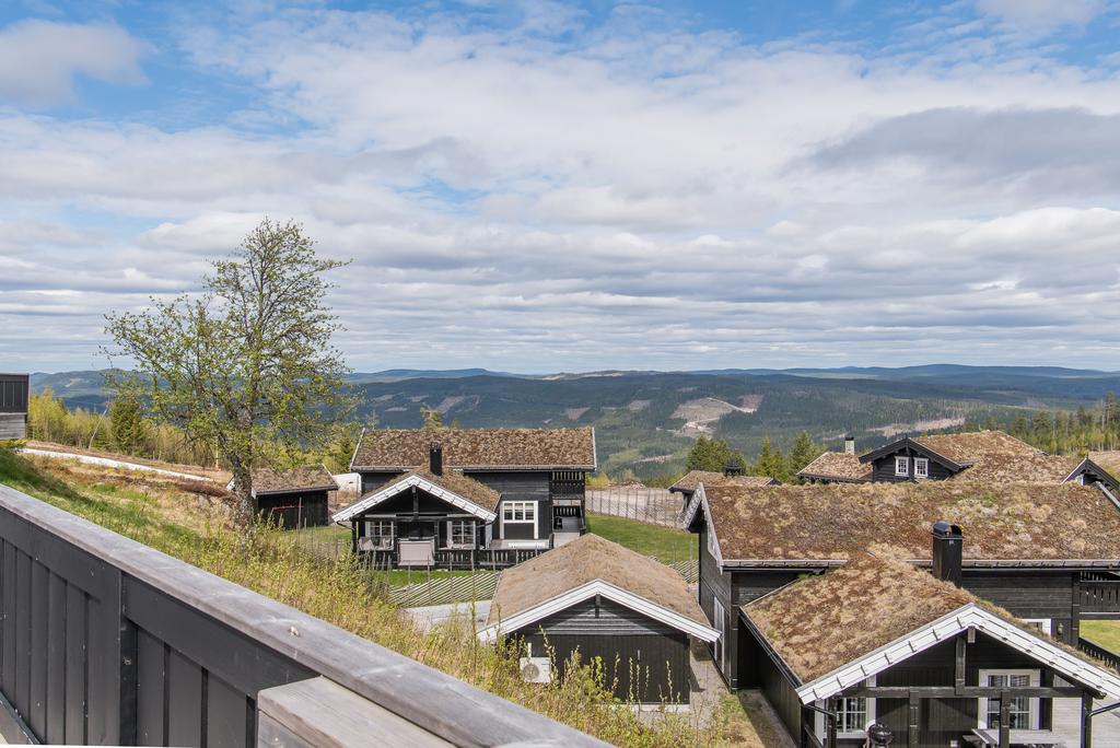 Utsikt över fjället