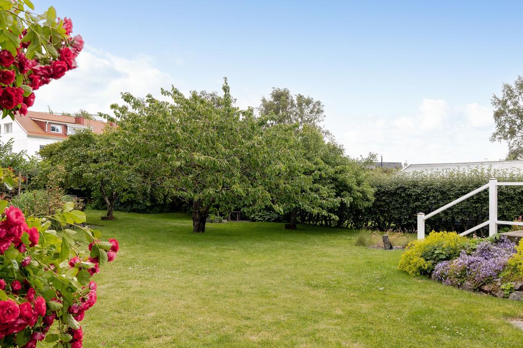Stor, grönskande trädgård med gott om plats för lek, plantering och avkoppling.