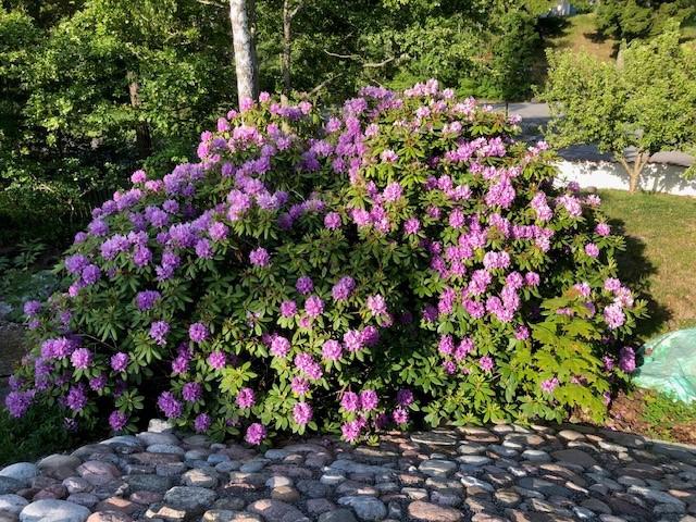 Säljarens privata bild 