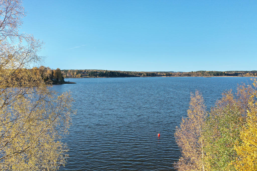 Utsikt från stugan 
