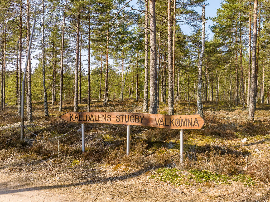 Drönarbild