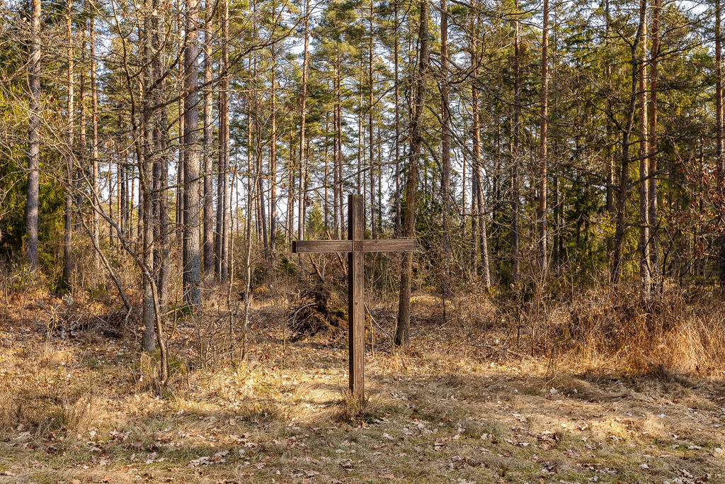 Detaljbild