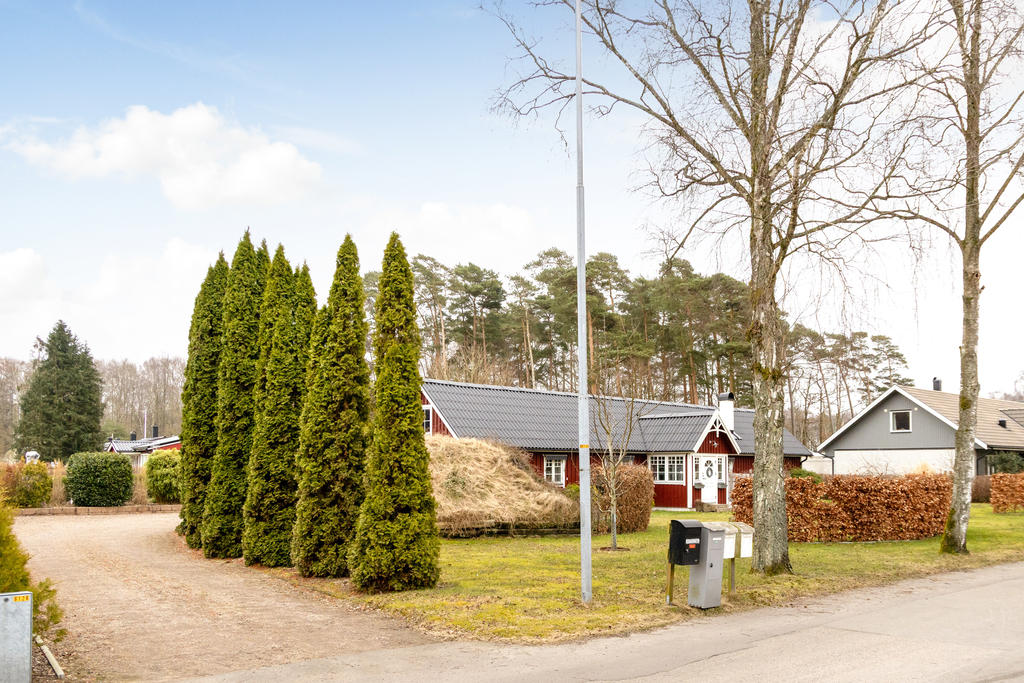 Välskött trädgård 