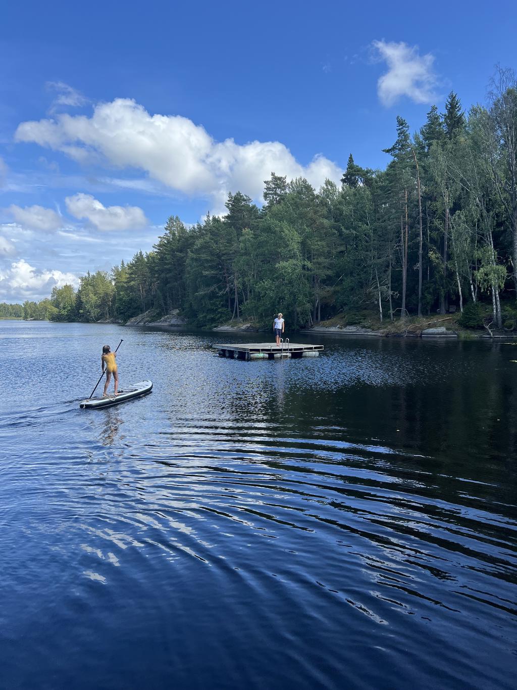 Säljarens egna bild