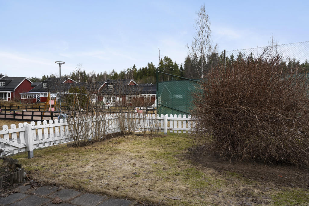 Trädgård på baksidan!