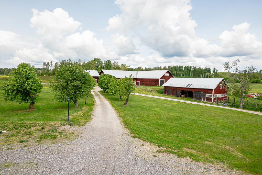 Härlig miljö på gårdsplanen