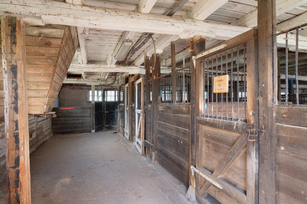 Här finns möjlighet för djurhållning och hästar