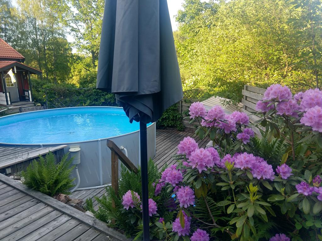Säljarens bilder