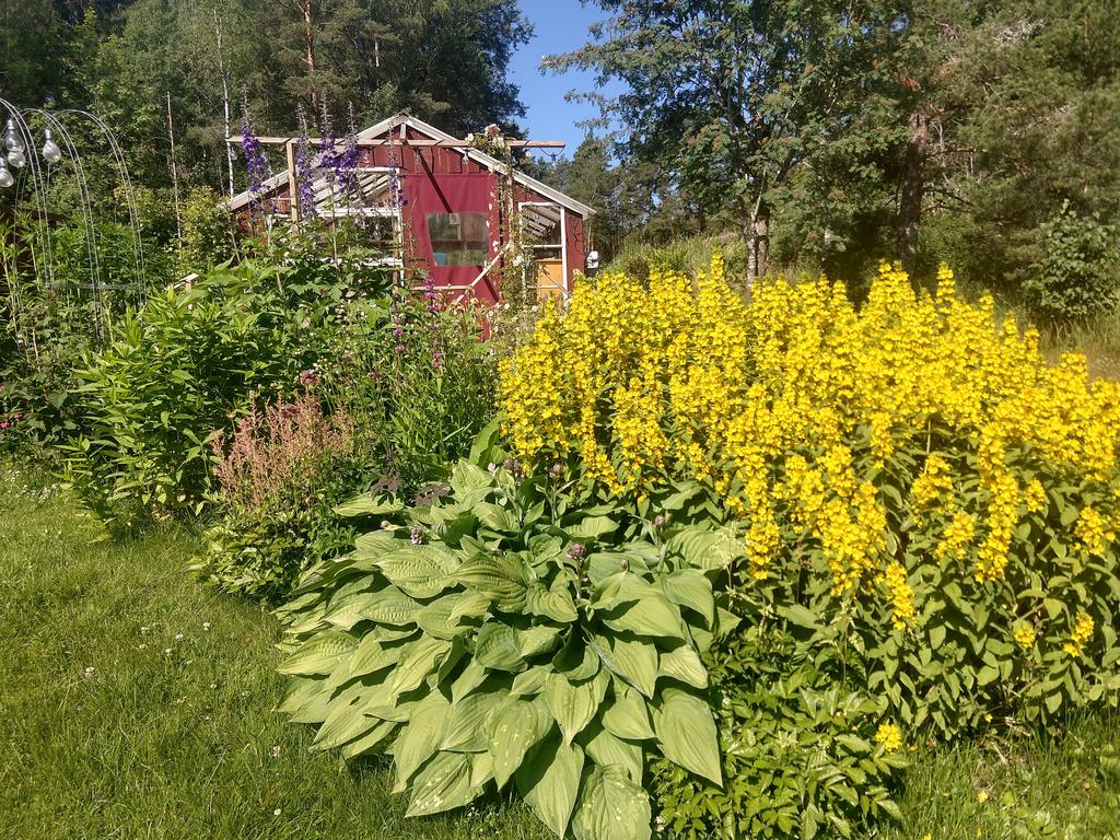 Säljarens bilder