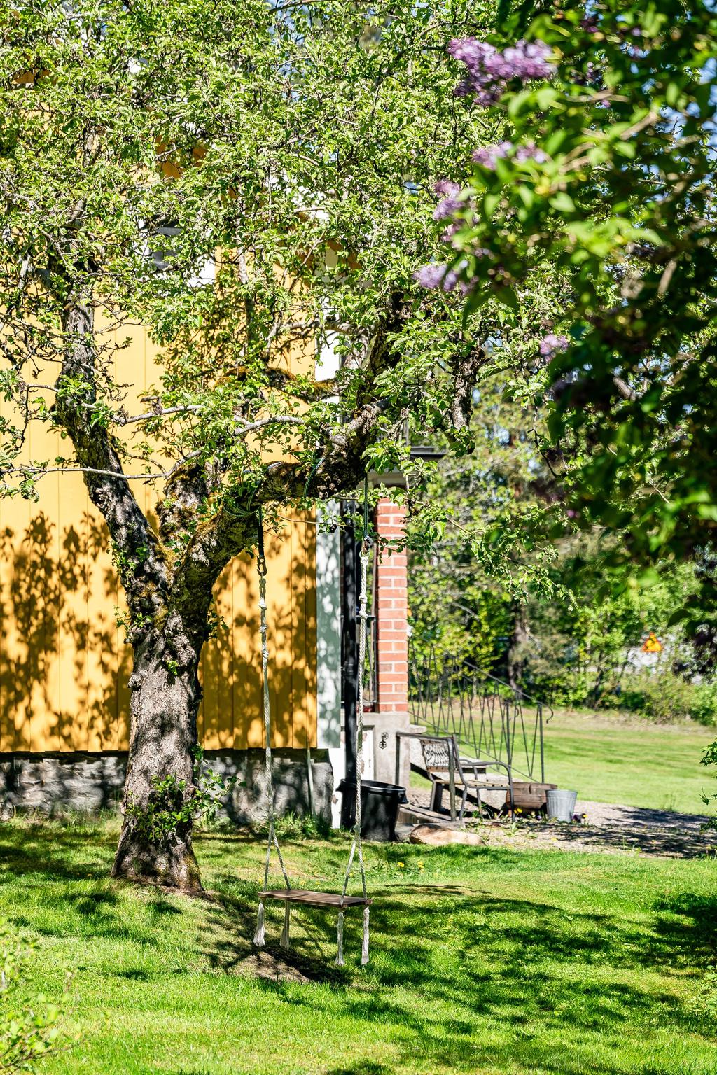 Gunga. Grönskande och uppväxt trädgård