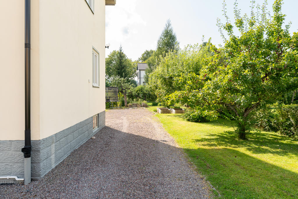 Uppfart och frukträd