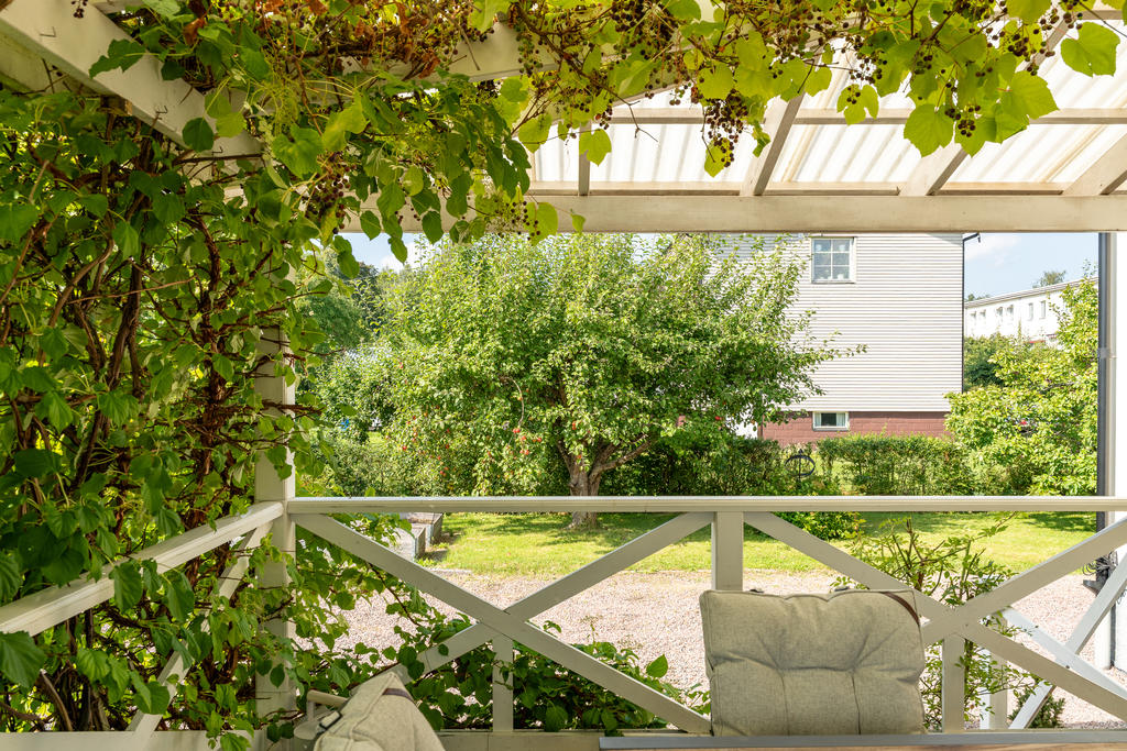 Altan mot frukträden