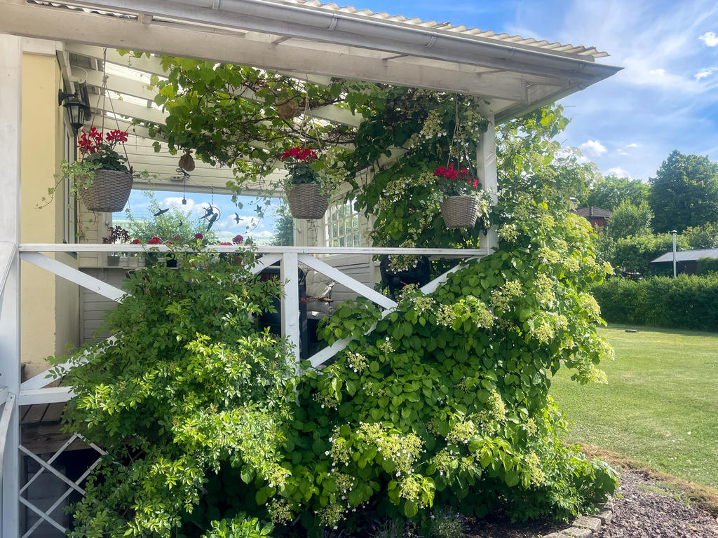 Verandan/altan på sommaren