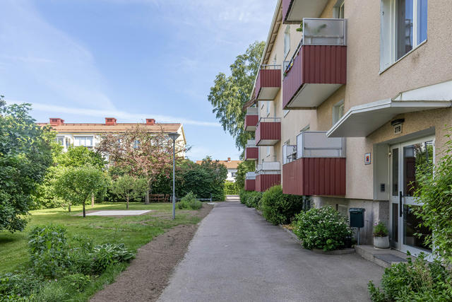 Skönt att komma hem
