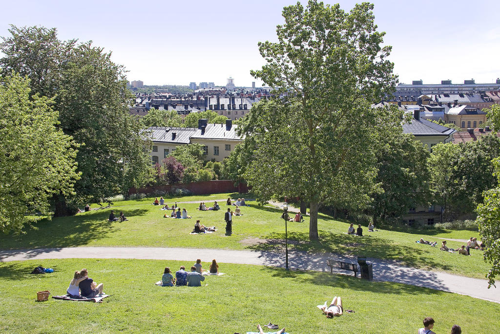 Härligt parkhäng i Vitabergsparken