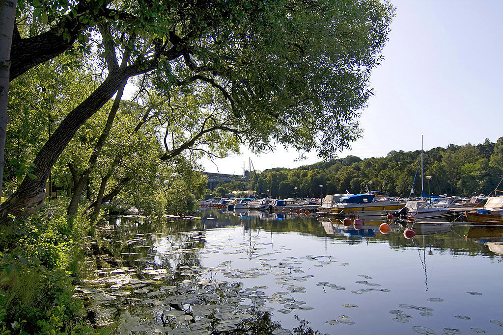 Årstaviken