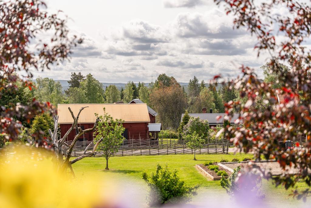 Från verandan