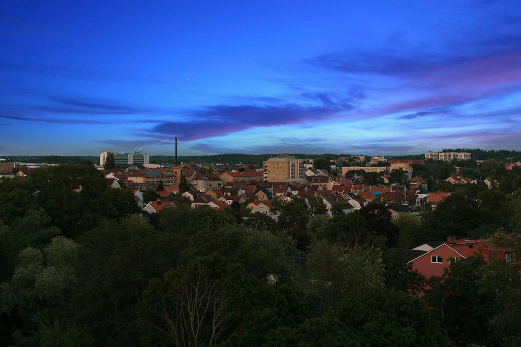 Med utsikt över takåsarna