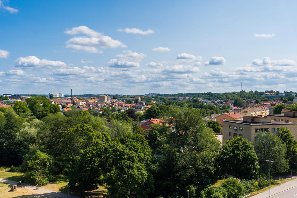 Härlig grönska mot Hejdegården