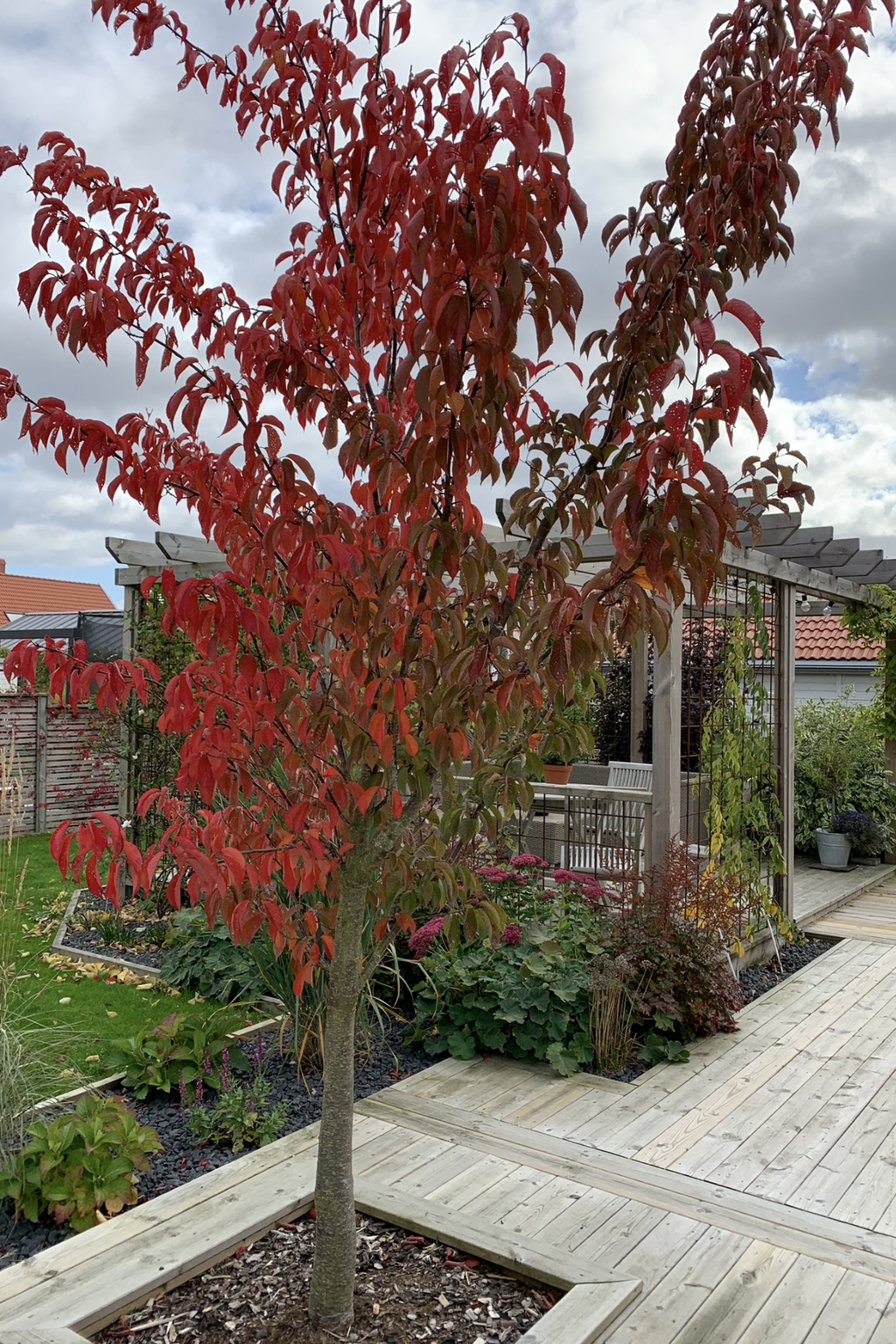 Säljarens bild
