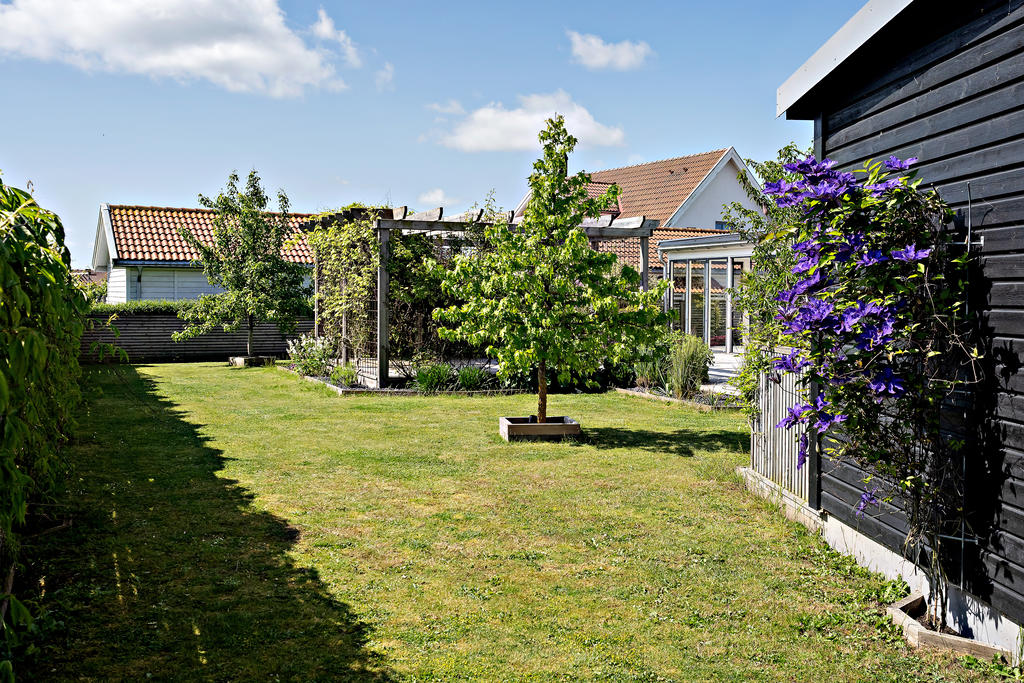 Trädgård