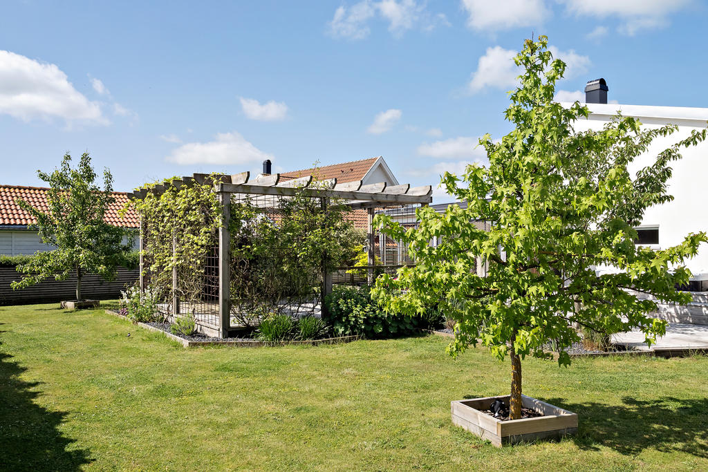 Trädgård