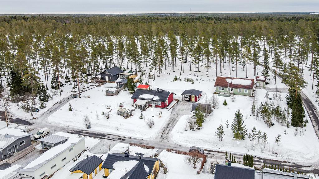 Naturen med lingon och blåbär inpå