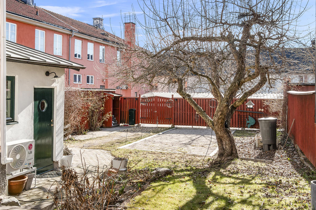 Innergård med äppelträd
