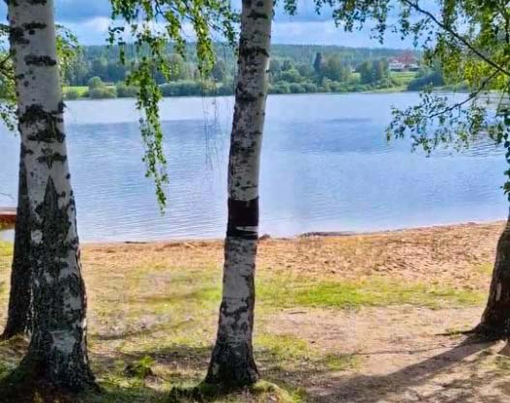 Badstrand i området- säljarens bild