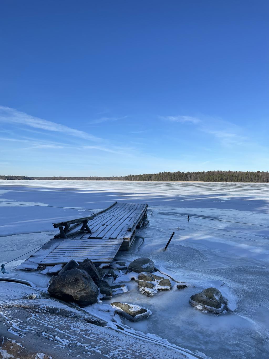 Vinterbild vid vattnet