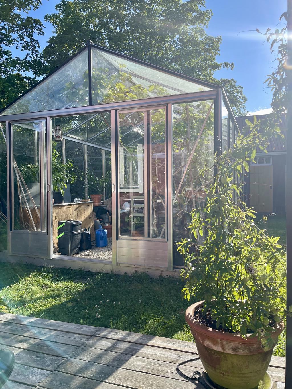 Säljarens bild - växthuset