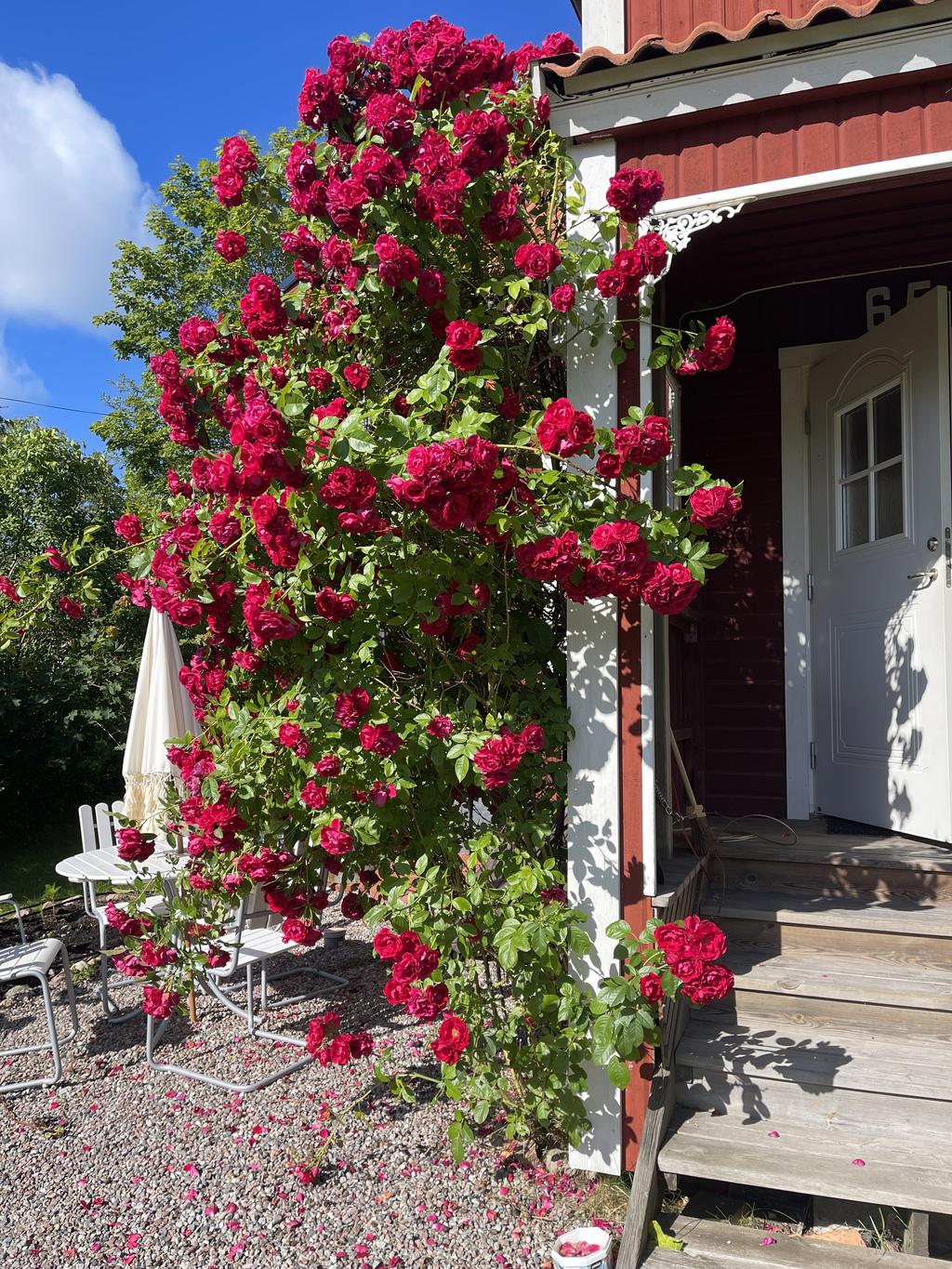 Säljarens bild - Välkommen in!