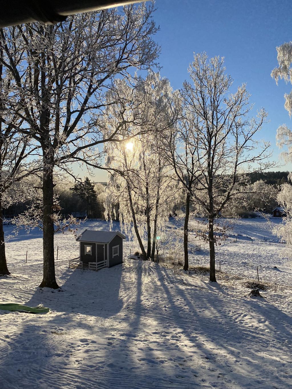 Säljarens egna bilder