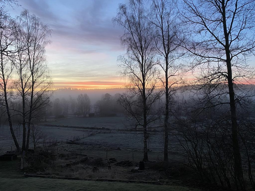 Säljarens egna bilder