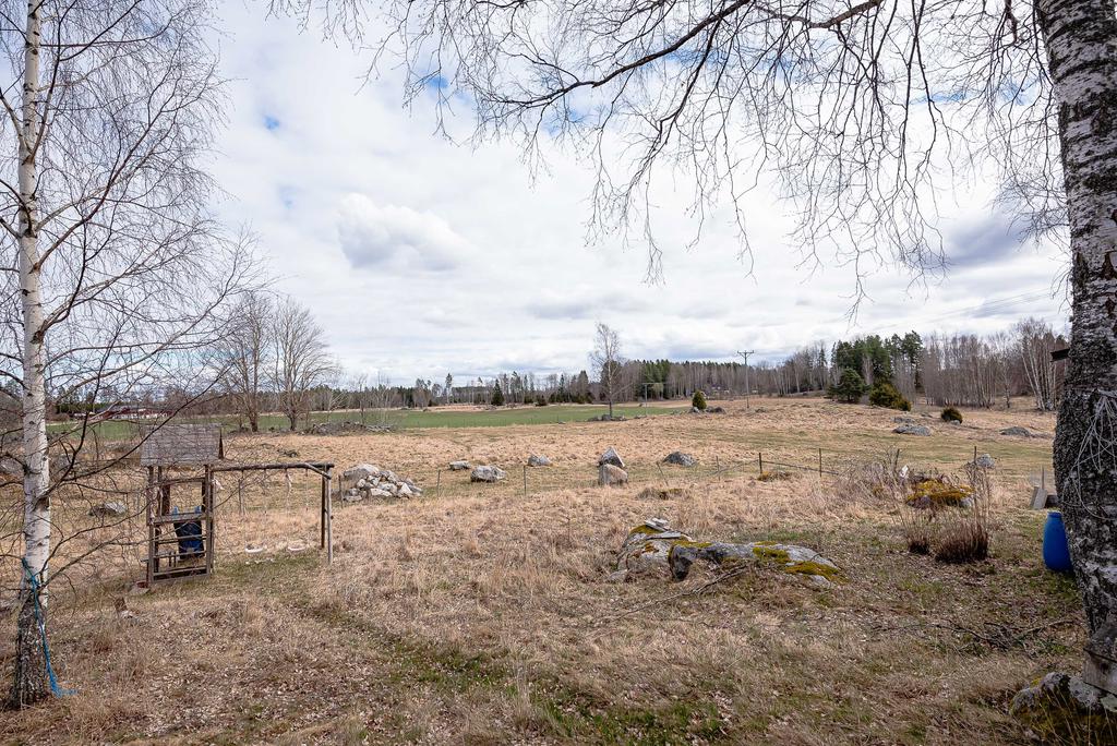 Trädgård som bjuder in till lek och barnspring
