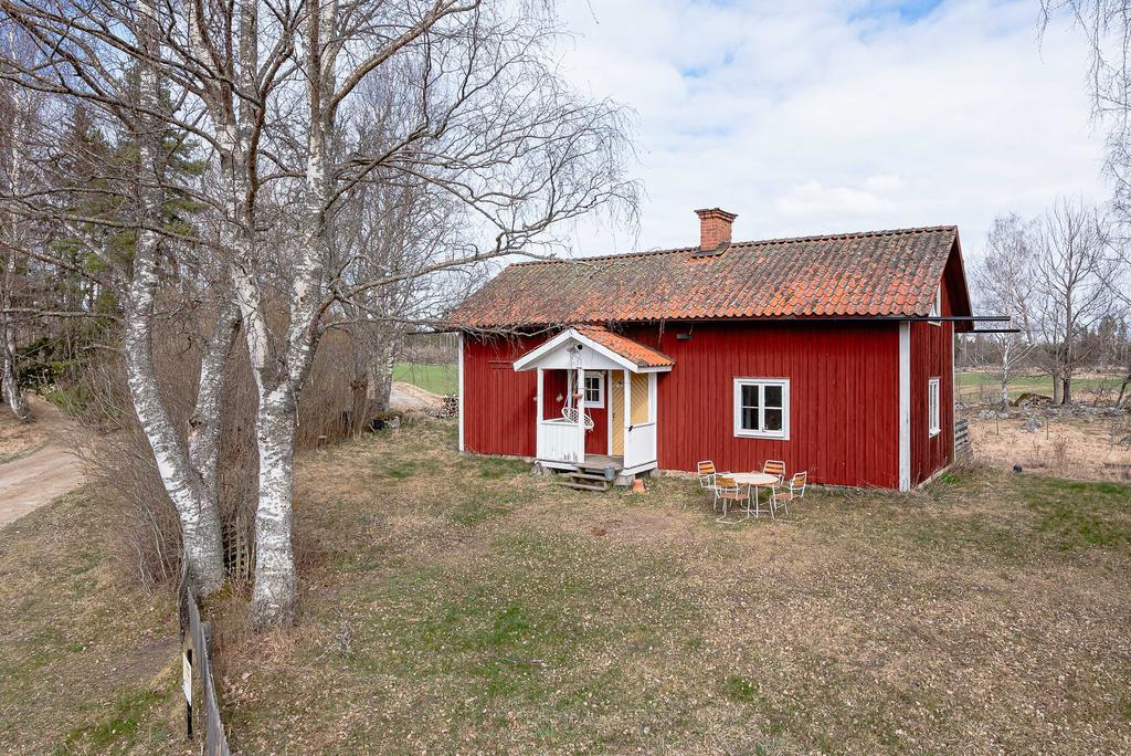 Syrénhäck som vindskydd på boningshuset framsida