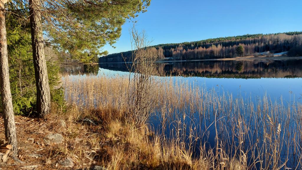 Utsikt över älven Voxnan från bad & grillplats några 100 m från fastigheten. 