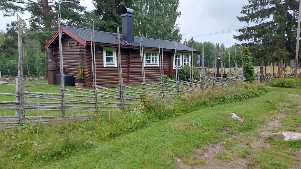 Säljarens sommarbild. 